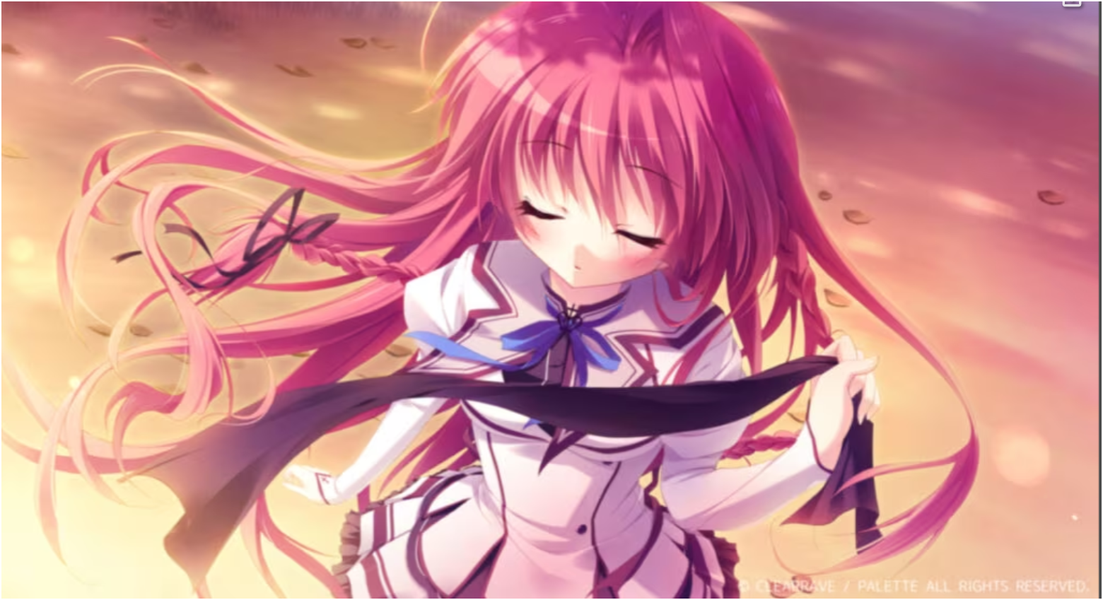 纯白交响曲 SANA EDITION-Animation_Rcy[R站]